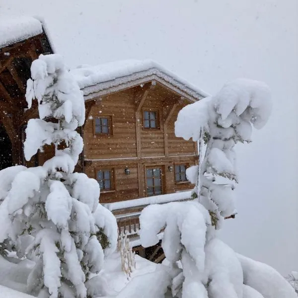 Vertigo โรงแรมในPuy-Saint-Pierre