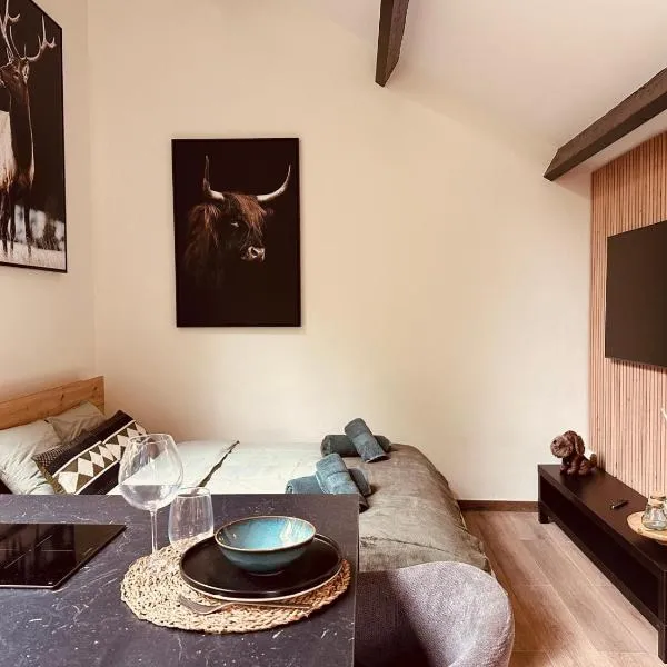 TINY HOUSE - La cabane de Tom, מלון בבלאימונט