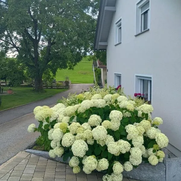 Viesnīca Landhaus Eichberger pilsētā Büchlberg