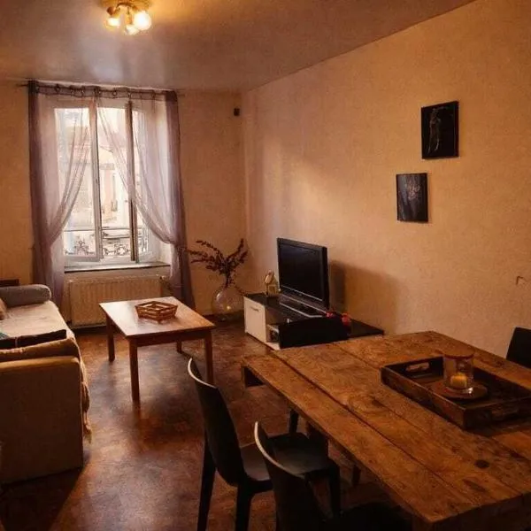 Duplex spacieux centre ville Parking sur place, hotel in Nogent-lʼArtaud