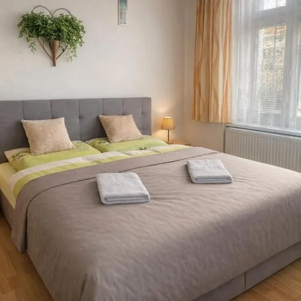 Vila Šebest, Hotel in Volary