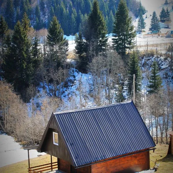 Mountain House Jelovica, hotel v destinaci Berane
