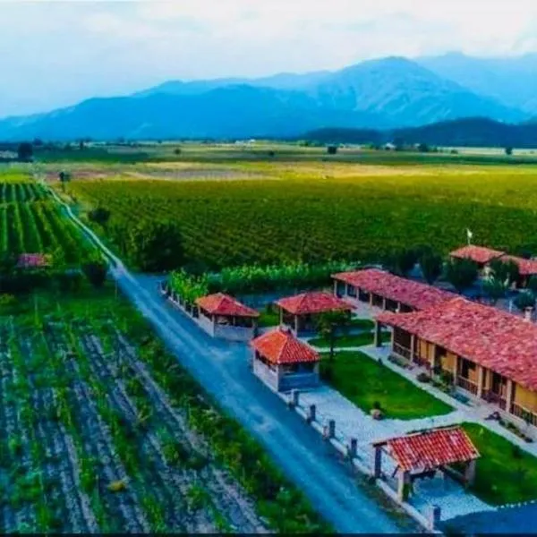 Gugoshvilis Marani, Hotel in Qwareli