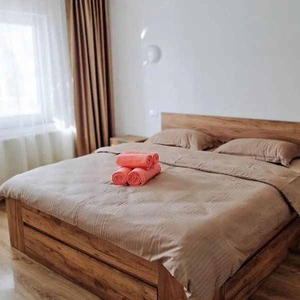Cosy apart 3 Fagaras, hotel sa Făgăraş
