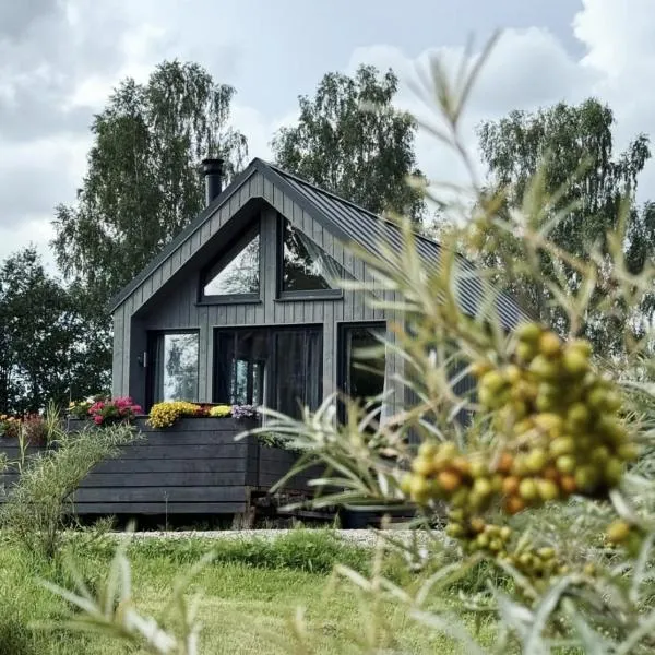 Smiltsērkšķu namiņš, готель у місті Irši