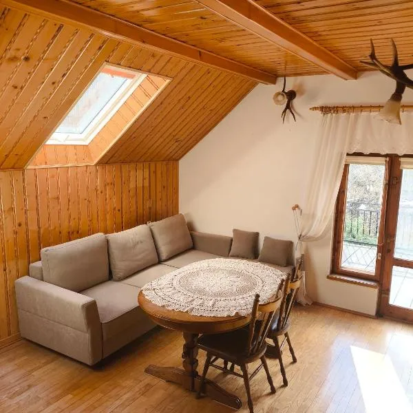 Agroturystyka - POD DWOREM, hôtel à Jureczkowa