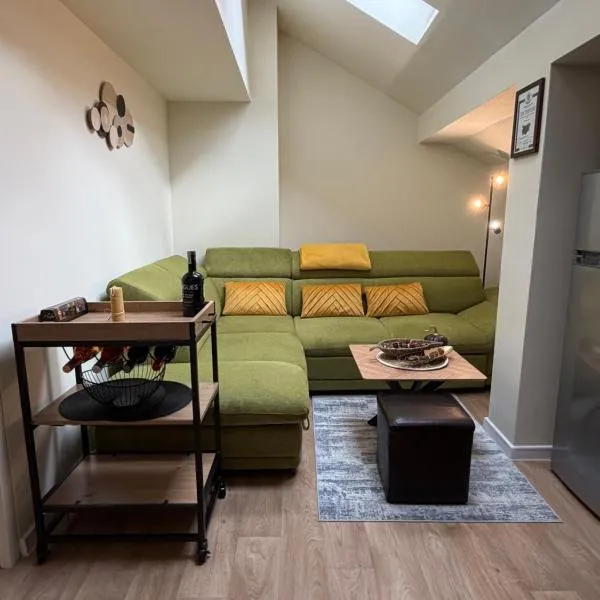 Chamkoria Forest apartment، فندق في بوروفتس