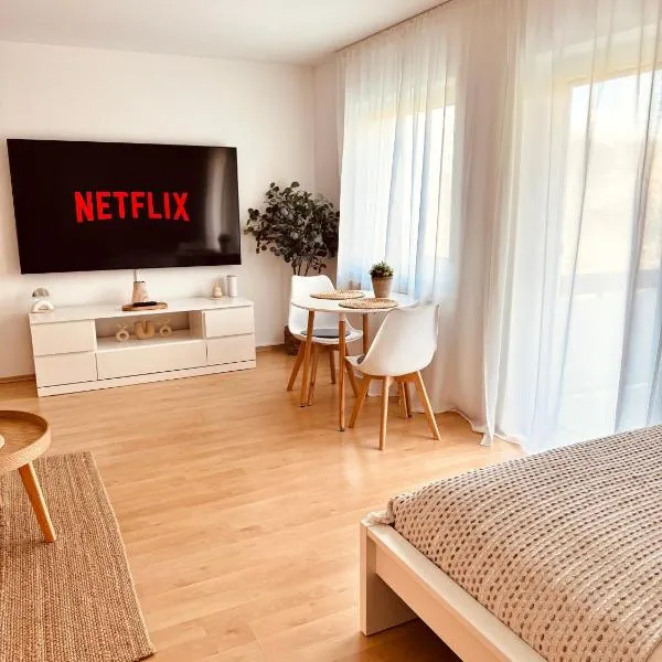 DEM Apartment، فندق في باد شونبورن