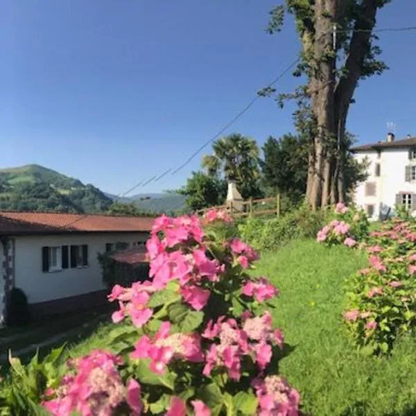 Valcarlos에 위치한 호텔 Etxezuria