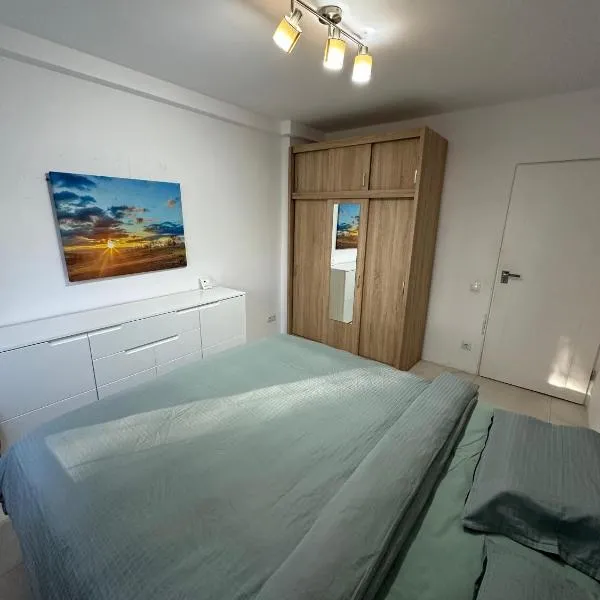 Zen 2 Bedroom Apartment with Terrace, hótel í Zalău