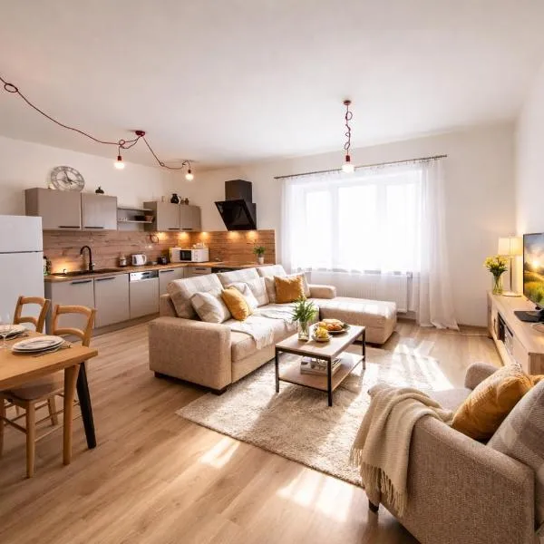 Large 3-Bedroom Apartment on Main Square with Free Parking, hotell i Žacléř
