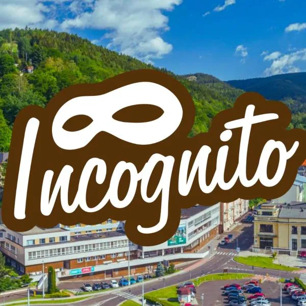 Hotel Incognito โรงแรมในยาคีมอฟ
