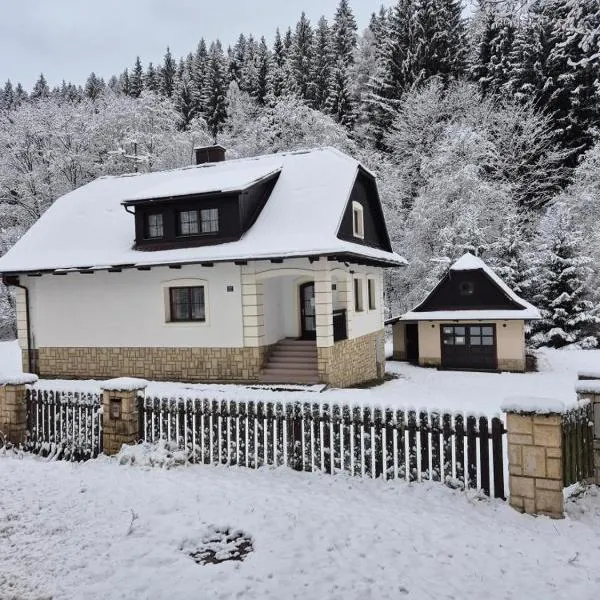 Penzion U Karla, hotell i Velké Karlovice