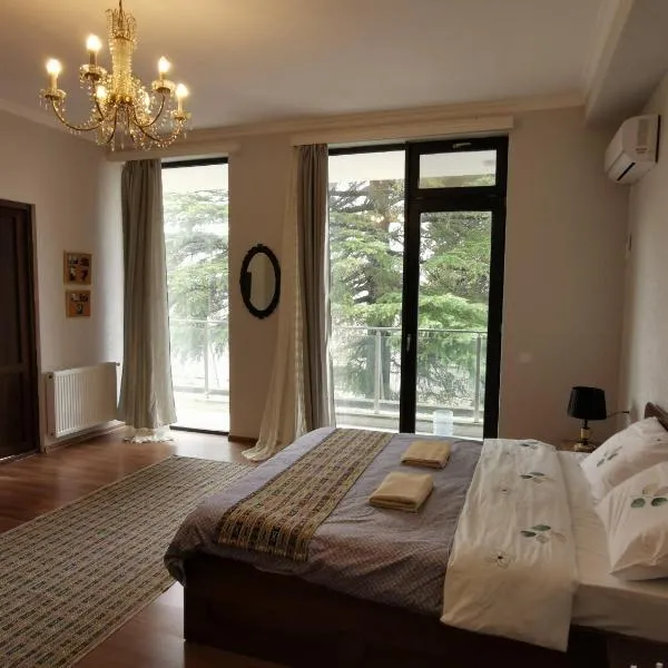 Hostel Rioni، فندق في كوتايسي