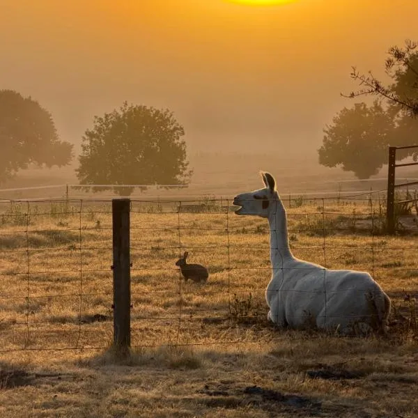 Chandelle Park Farm Stay、Exeterのホテル