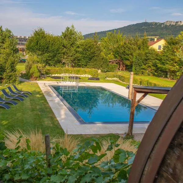 Amenity Penzion Horni Vestonice, Hotel in Horní Věstonice