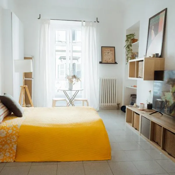 Luminoso open space nel centro di Torino, hotel in Turijn