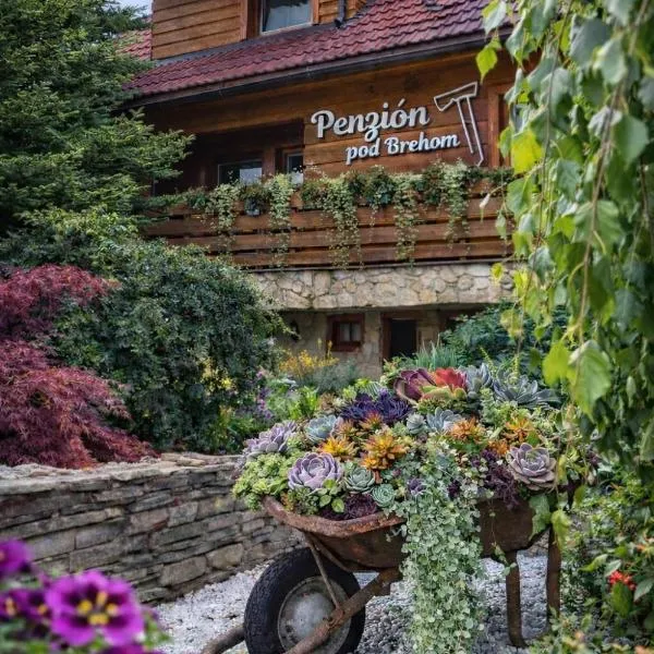 Penzion pod Brehom, hotel di Terchová