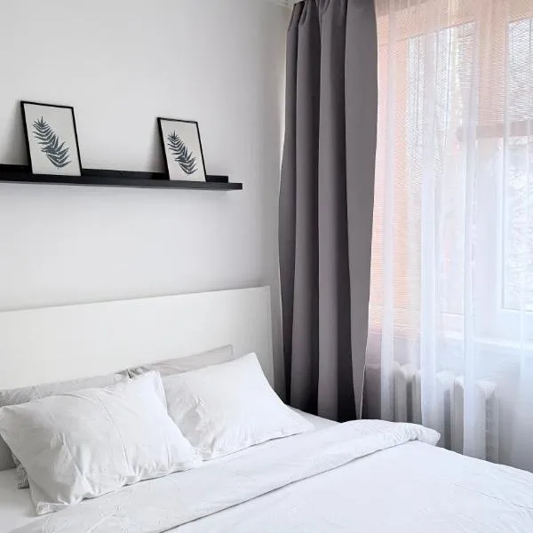 Cosy&White apartment in Daugavpils, отель в Даугавпилсе