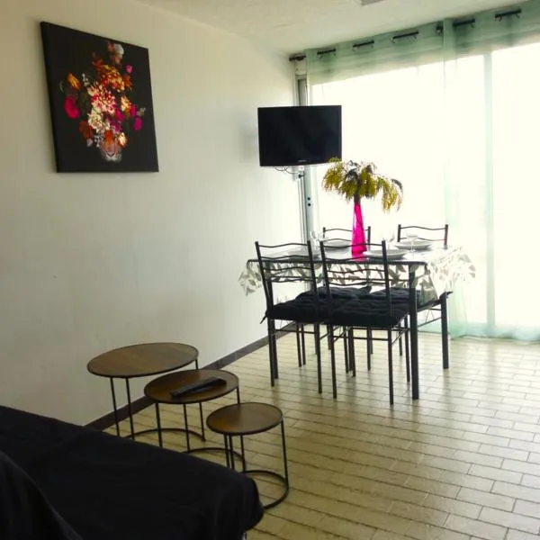 Appartement terrasse Endeavour Argeles sur mer La plage à pieds l'espagne à 30 mn, hotel in Argelès-sur-Mer