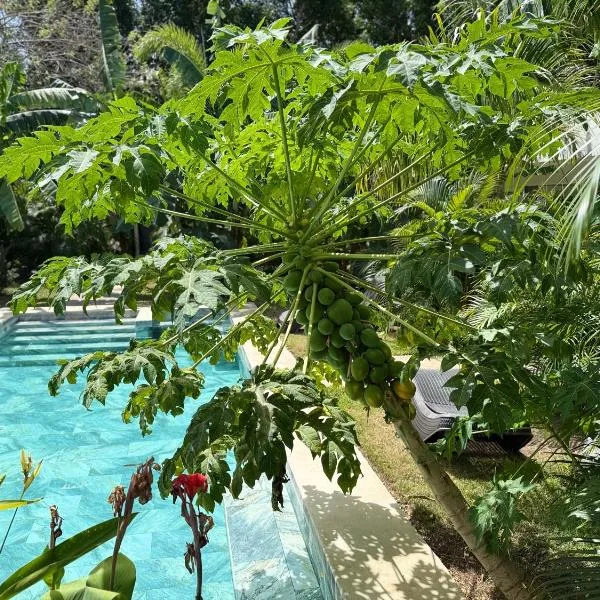 Hotel Good Life, hotel en Coco