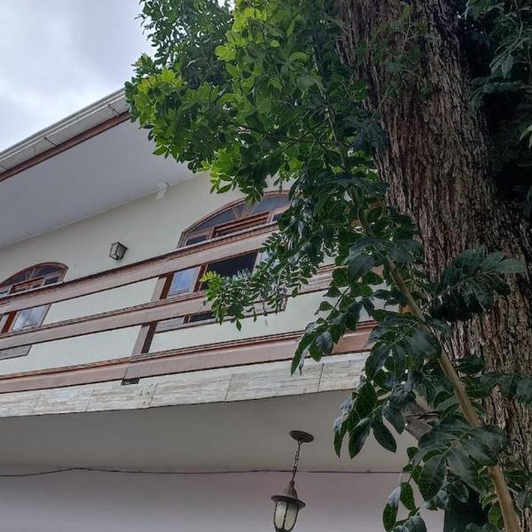 Casa da Árvore em Pinhais - Próx Expotrade