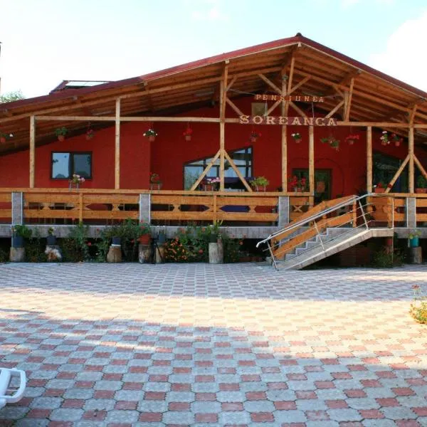 Pensiunea Soreanca、Costeştiのホテル