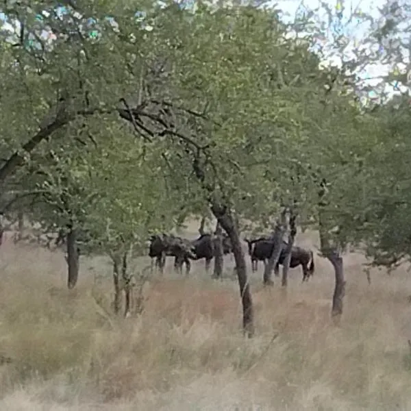 Paradise Camp Game Lodge, hotel v mestu Grootfontein