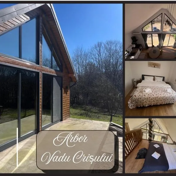 Arbor, отель в городе Ваду Кришулуй