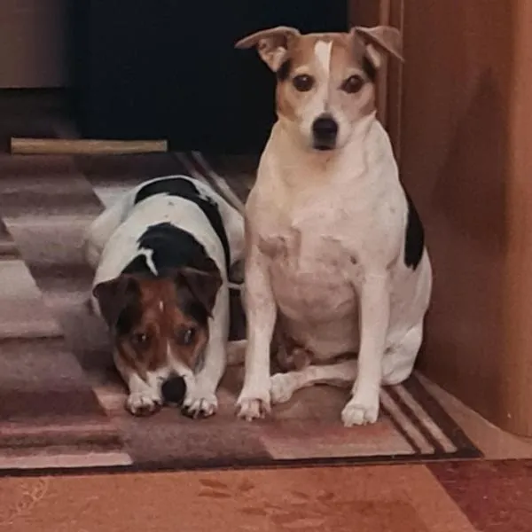 Viesnīca Bromölla Camping o Vandrarhem pilsētā Bromölla