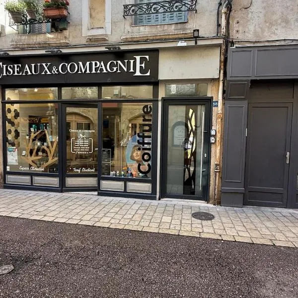 Appartement spacieux, au cœur de la ville 54 m, hotel a Tournus