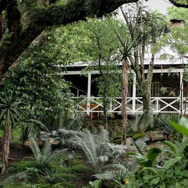 Reilly's Rock Hilltop Lodge, hotel en Lobamba