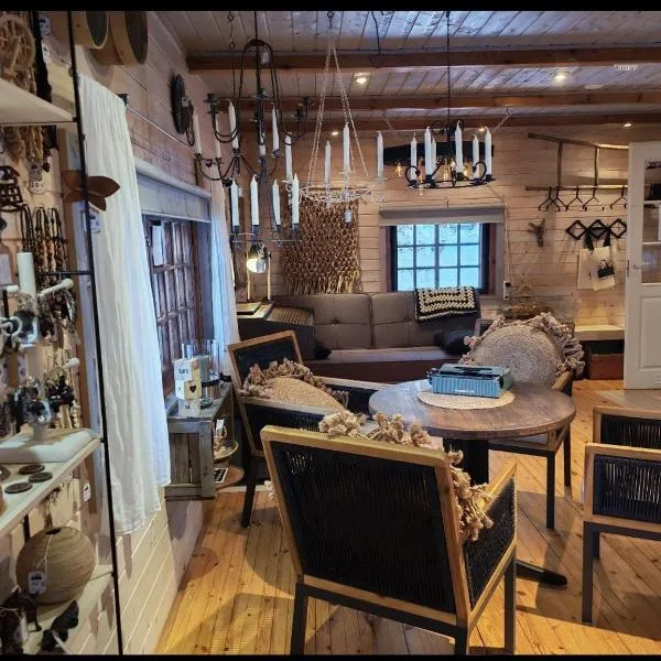 Koskimylly -historiallinen Design majoitus, hotel u gradu Silinjarvi