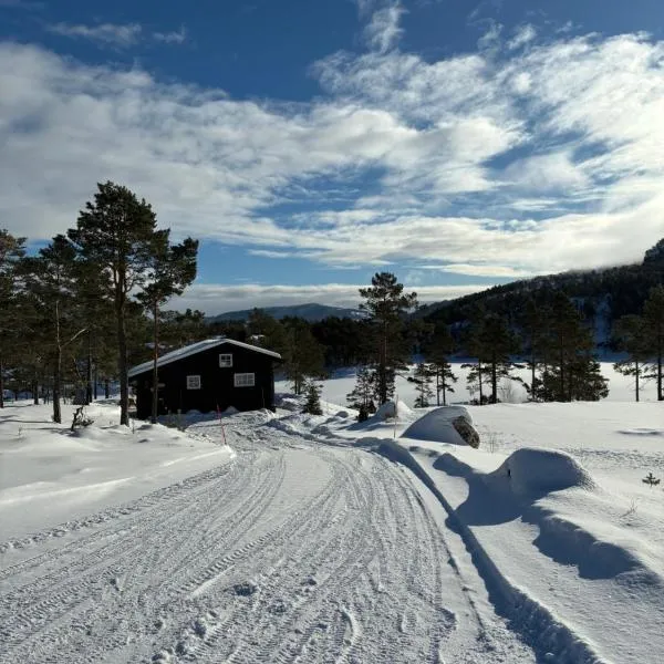 Cosy cabin between lake and mountain, hotel u gradu 'Treungen'