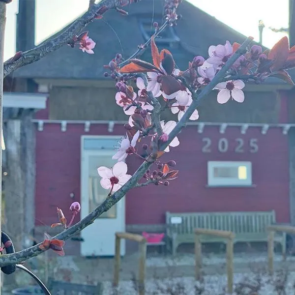 De Rooie Hooimijt, hotel u gradu 'Ammerzoden'