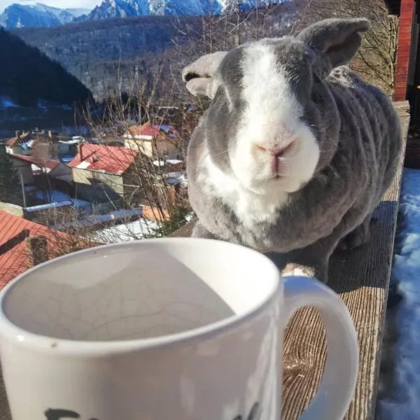 Doi Iepuri，阿祖加的飯店