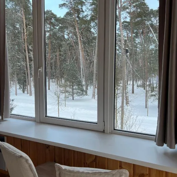 Kulautuva Park Apartments, hotel v mestu Kulautuva