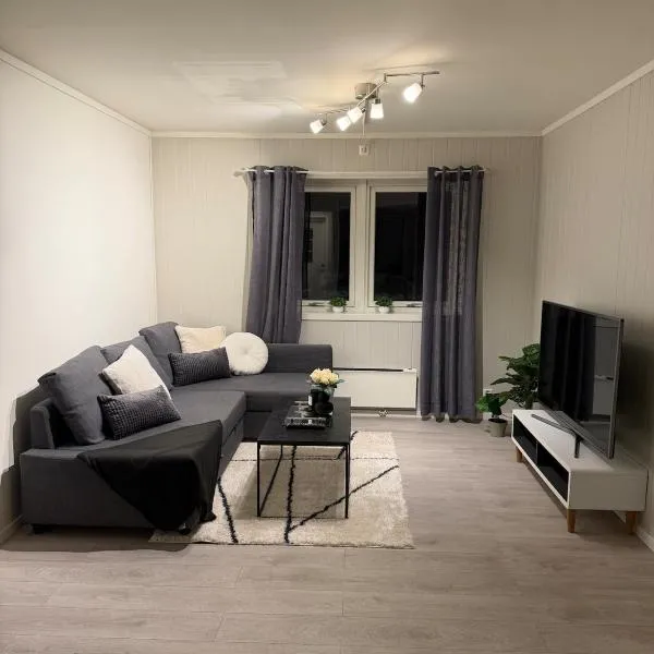 Modern apartment centrally located in Kongsvinger, hotel a Kongsvinger