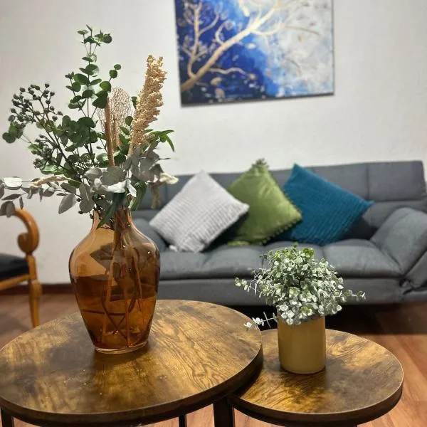 Acogedor y céntrico Departamento, hotel a León