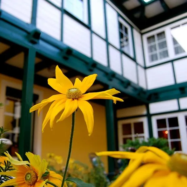 Frühstückshotel Jammernegg, hotel en Köflach