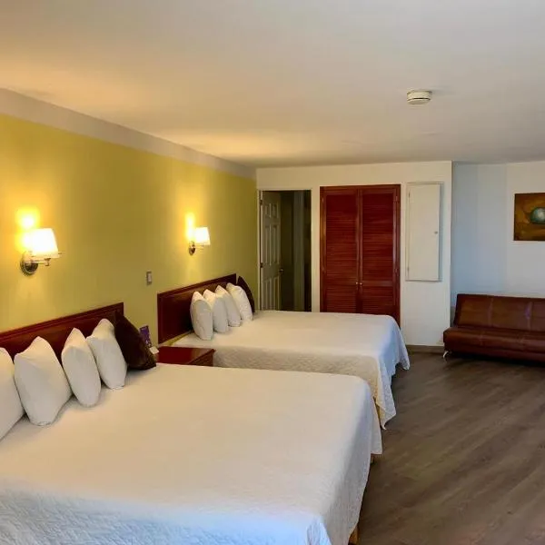 Hotel Enterprise Inn Poliforum, hotel v mestu León