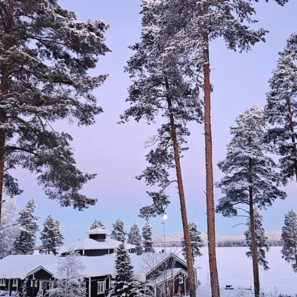 Boutique Hotelli Kivennapa, Hotel in Pieksä