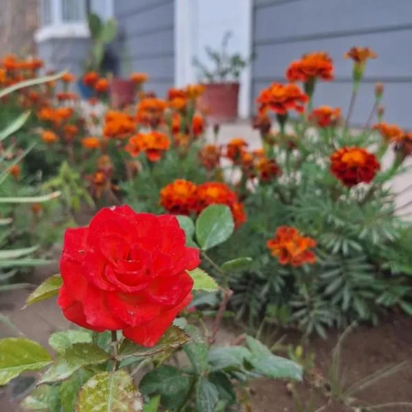 La casita، فندق في زابالا