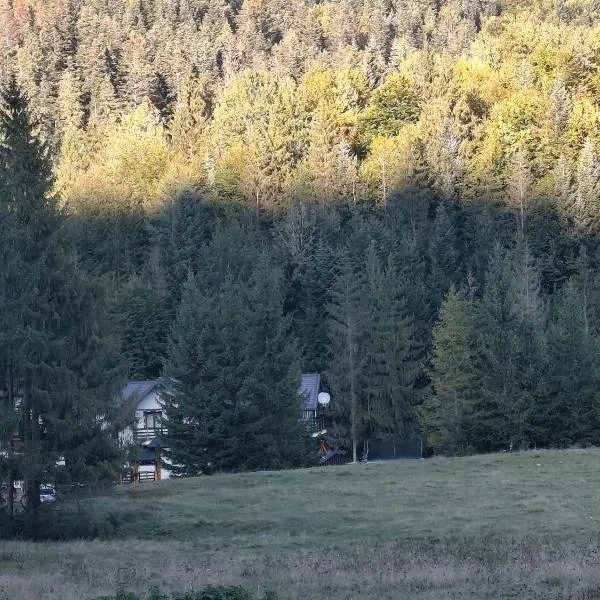 Voroneț, CABANA IOANA, Bucovina!, hotel v destinácii Voronet