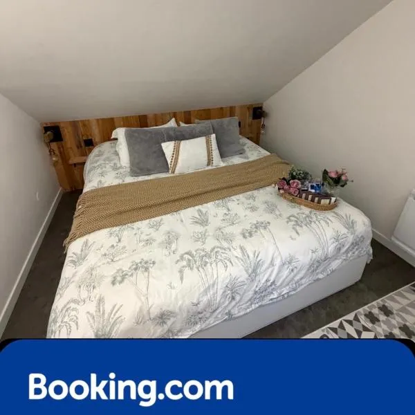 Petit Nid Douillet avec parking privé, Hotel in Villemareuil