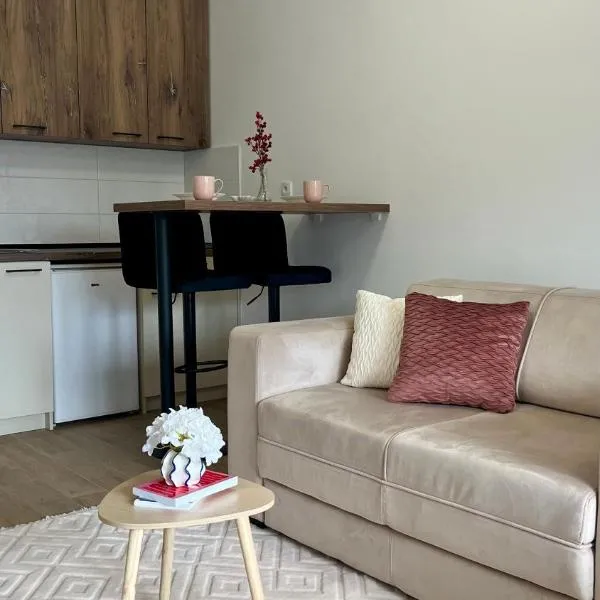 Studio Vila Alto, hotel sa Vrbas