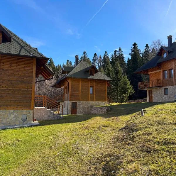Evergreen Sokolina, hotel in Rača