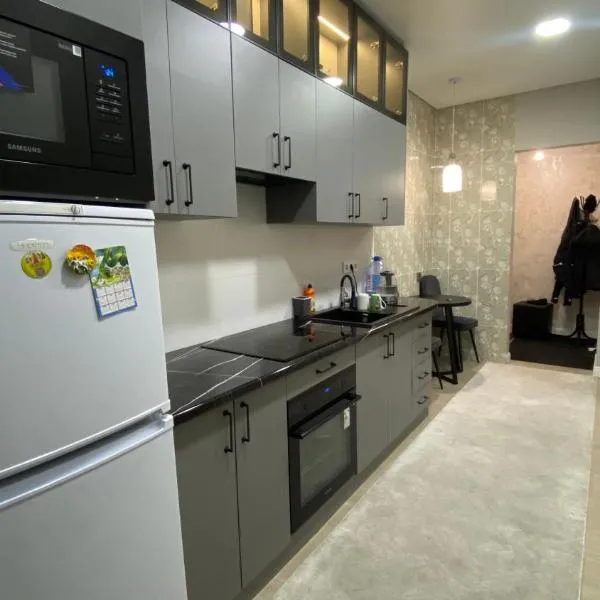 Modern Flat Close to Almaty Airport, hotel din Almatî