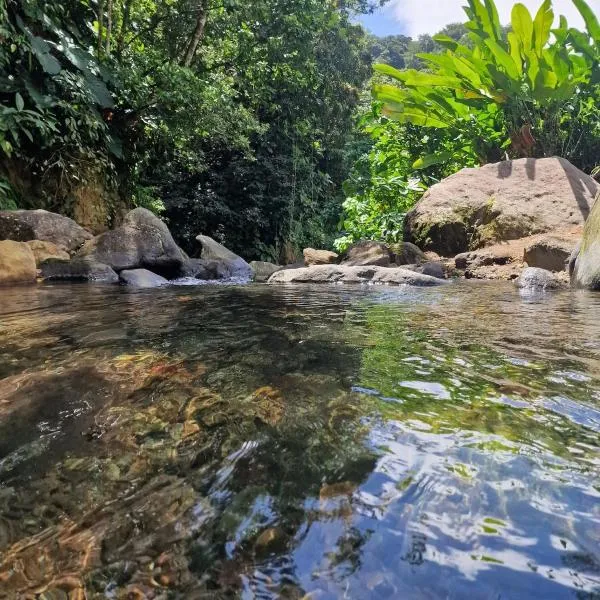 B&B et rivières sauvages, khách sạn ở Gourbeyre
