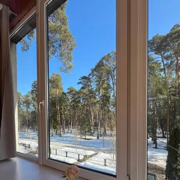 Kulautuva Park Apartments, hotel a Kulautuva